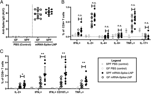 Humoral and cellular responses to mRNA-LNP immunization in GF and SPF mice. (A) Serum Spike-specific IgG (B) Spike peptide pool-stimulated CD4+ T cell cytokine responses quantified by ICS, and (C) Spike peptide pool-stimulated CD8+ T cell cytokine responses quantified by ICS in unimmunized (PBS Control) and mRNA-Spike-LNP-immunized GF (n = 10) and SPF (n = 12) mice from one experiment. *p < 0.05, **p < 0.01 (Mann–Whitney U test).