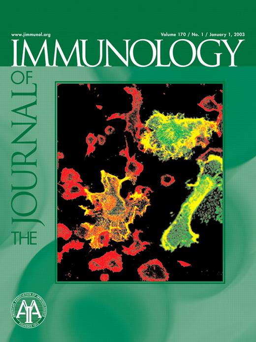 Processing of Exogenous Antigens for Presentation by Class I MHC