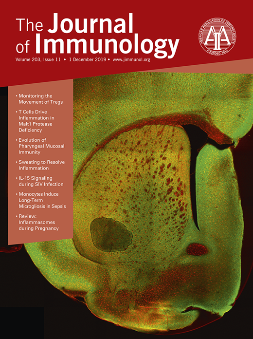 Issue Cover