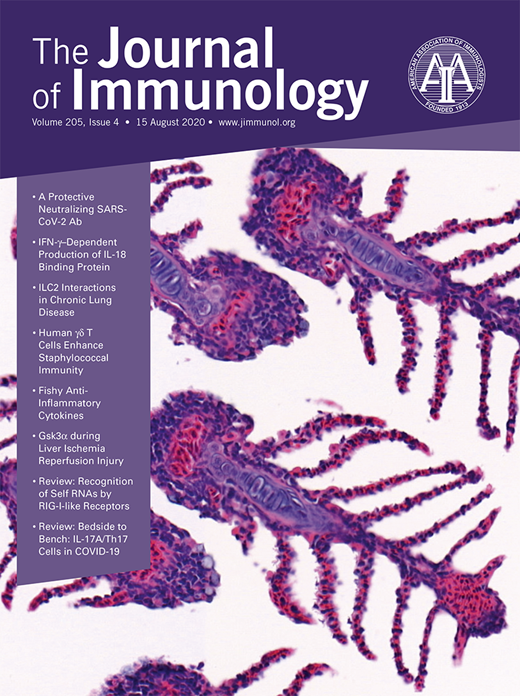 Waning Immunity in Pertussis Vaccines of the